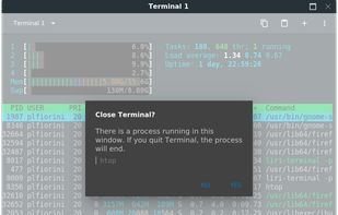 Liri Terminal screenshot 1