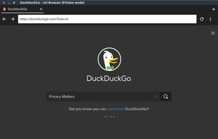 Liri Browser screenshot 2