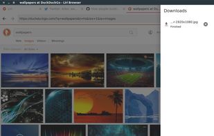 Liri Browser screenshot 1