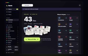 Tidy up: Lisorto shows where every file in Downloads will go before anything moves