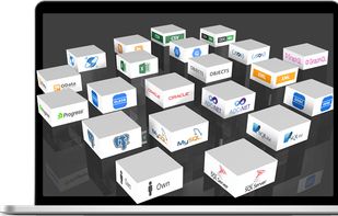 Flexible data connectivity with over 40 data providers for .NET, custom data sources and FireDAC support.