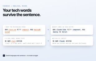 Mixed Chinese-English speech: English technical terms stay in English.