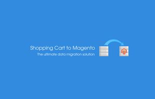 Shopping cart to Magento migration tool