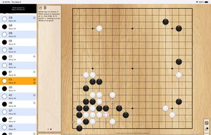 Little Go screenshot 1