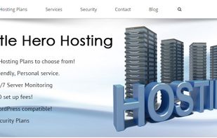 Little Hero Hosting screenshot 1