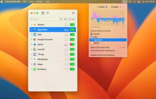 Little Snitch Mini screenshot 1
