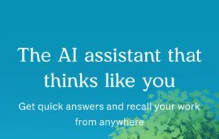 Littlebird screenshot 3