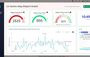 LivChart dashboard with AI-generated charts — bar, line, and pie visualizations built from local data.
