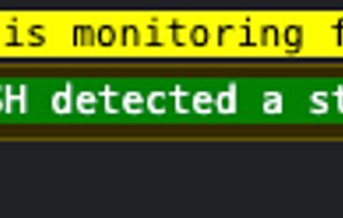 Updates in the developer console