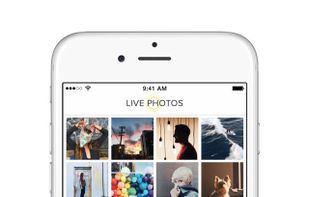 Live GIF screenshot 1