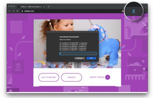 Live Stream Downloader screenshot 1