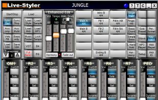 Live-Styler screenshot 1