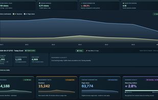 Explore traffic statistics and trends to better understand your website audience.
