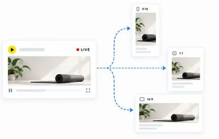 Choose how the stream runs: loop, schedule or one-time broadcast