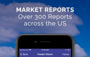 Livestock Runner screenshot 1