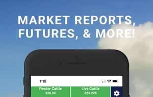 Livestock Runner screenshot 2