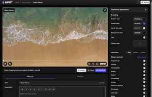 Full player customization options including logo upload and Livid watermark removal