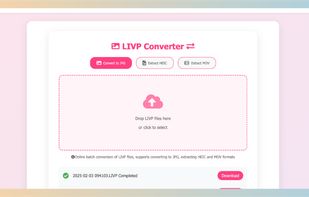 LIVP Converter screenshot 1