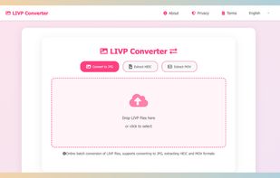 LIVP Converter screenshot 1