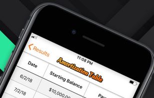 Loan Master screenshot 2