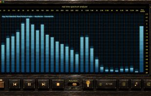 Local Music Organizer screenshot 2