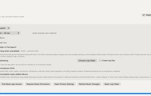 Local Music Organizer screenshot 3