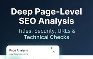 Google Business Profile Optimization