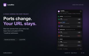 Localfox screenshot 1