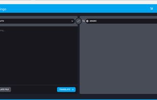 LocaLingo screenshot 1