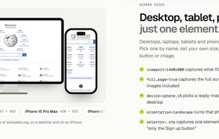 localscreenshot screenshot 2