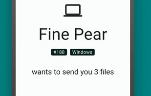 LocalSend screenshot 2