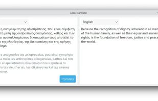 LocalTranslate screenshot 2