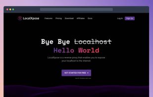 LocalXpose screenshot 1