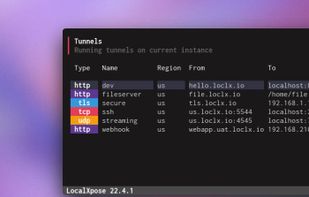LocalXpose screenshot 2