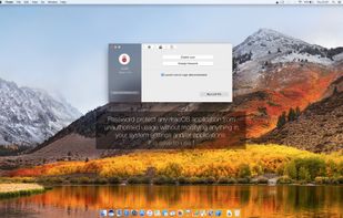 Lock Pro screenshot 2