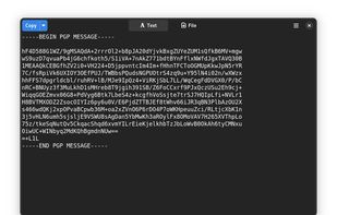 Lock GnuPG screenshot 1