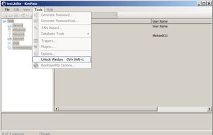 LockyWindow for KeePass screenshot 1