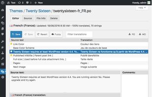 Loco Translate screenshot 3