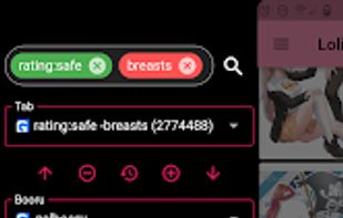 LoliSnatcher screenshot 3