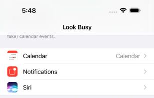 Look Busy screenshot 1