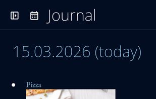 Journal on mobile devices