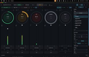 Looper view with audio tracks maximized
