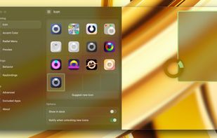 Loop - Window Management screenshot 2
