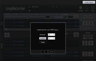 LoopRecorder (VST/AU plugin, Standalone) screenshot 1