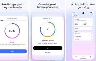 App Screens