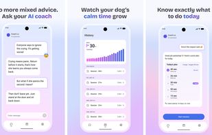 App Screens