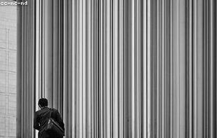 LoremFlickr screenshot 1