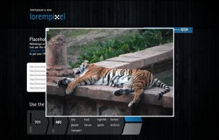 lorempixel screenshot 1