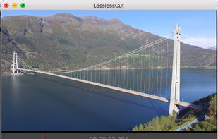 LosslessCut screenshot 1