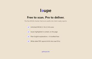 Loupe — Web Accessibility Checker screenshot 2